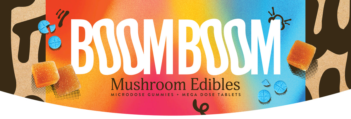 The Complete BOOM BOOM Guide